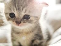 �������ʮ���ר��