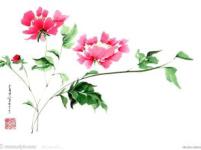 �����ε�����ר��