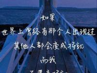 进入衬,不再爱你的专栏