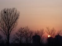 进入傻小乐的专栏