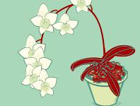 ������ѩ�׻���ר��