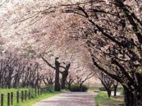 ���뿡����ר��