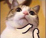 进入画里的专栏