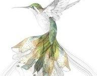 ���������ϵ�ר��