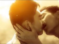 ����С���ǵ�ר��