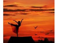 ���������ר��