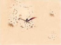 ����׷��ҵ�ר��