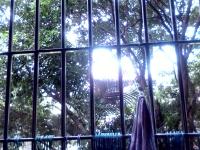 进入子兰的专栏