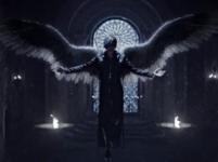 ��������е�ר��