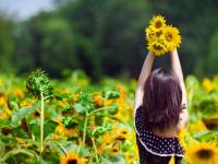 �������տ�֮�ĵ�ר��