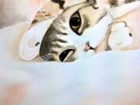 �������Ｐ�ǵ�ר��