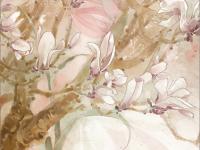 ����Ϳ����ר��