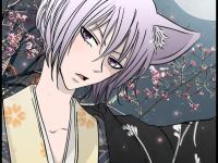 ��������دѪ����ר��