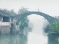 �������ֵ�ר��