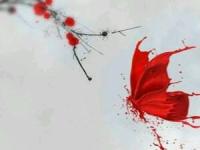 ������ī��ר��