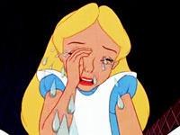 ���������ר��