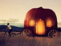 ��������ר��