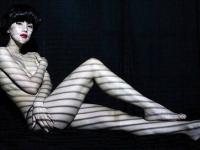 ���뾩��ϵ��ר��