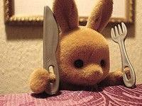 ����������ר��