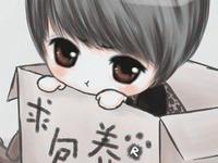 进入南北之南的专栏