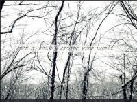 ��������ר��