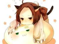 �������KASANE��ר��