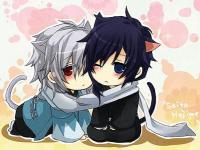 ����İ���ר��