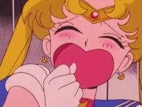 ���벻�����ר��