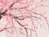 ����Novelv��ר��