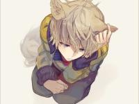 ������ɭcc��ר��