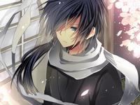 �����������ר��