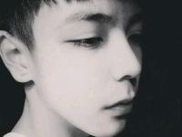 ����С����ɭ��ר��