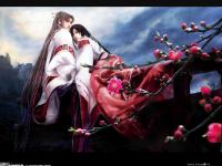 ���밲������ר��