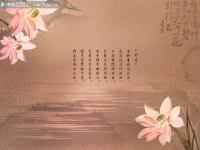 ������ī���Ƶ�ר��