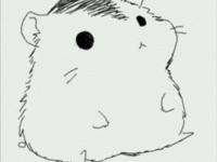 ���븵˾������ר��