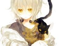 ����ƿ�������ר��