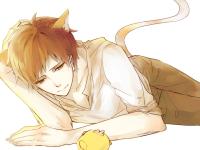 ���������ר��