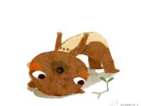 ����������ר��