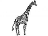 �����{ɫ�����ר��