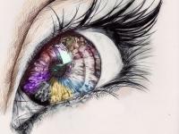 �������ҵ�ר��