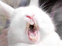 �������ǵ�ר��