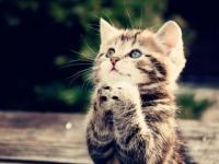 �����鹹��ר��