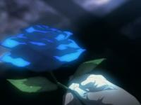 ����Ҷ�������ר��