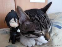 �������������ר��