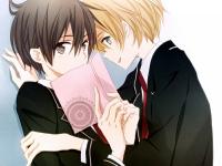 进入矢玥的专栏