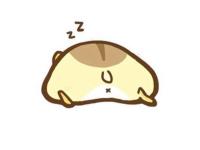 ���벻����ר��