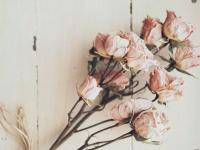 ���뷱��ʱ����ר��