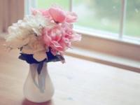 ���뻨�ڽ�����δ����ר��