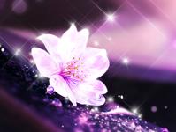 ���������ר��