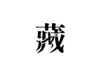 ����������̵�ר��